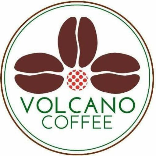 volcano logo